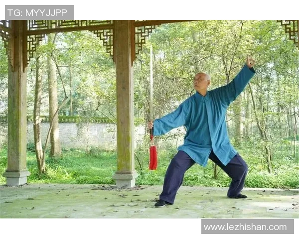 赵堡太极拳的传承与发展探讨及其在现代健身中的应用价值分析