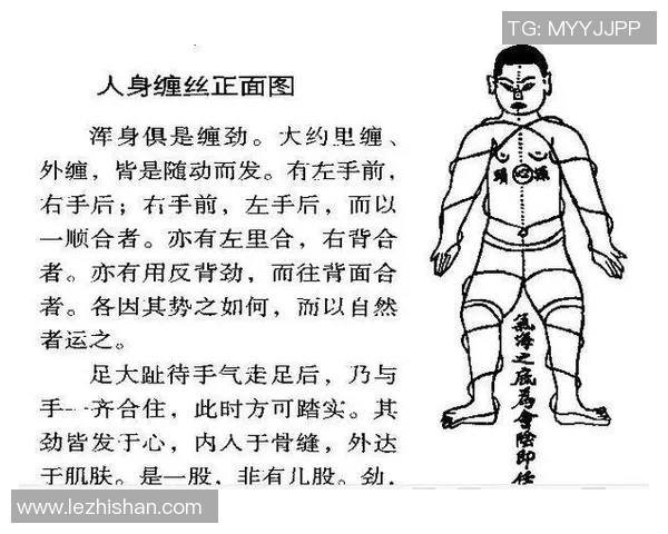 太极缠丝的哲学与实践探究：从传统武术到现代生活的智慧传承