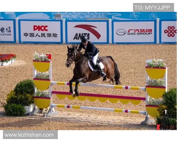 沙尔克04新秀哈洛恩或成主力，主教练看好表现闪耀